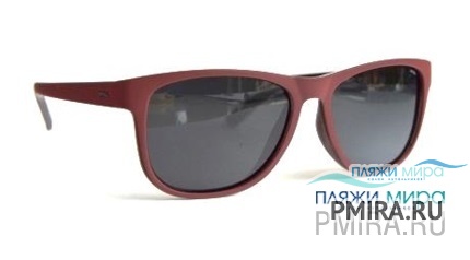 INVU T2611A, T2611C очки солнцезащитные INVU фото